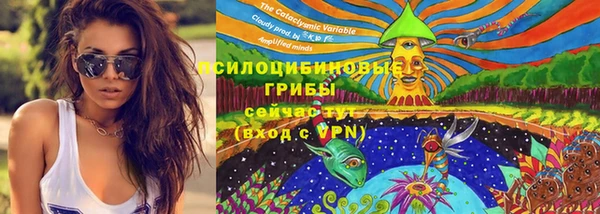 Альфа ПВП Абдулино