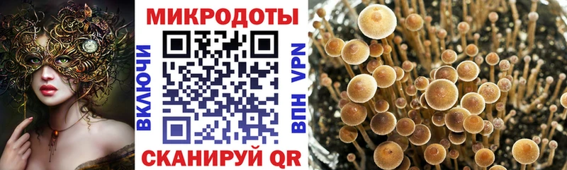 блэк спрут сайт  Лосино-Петровский  Галлюциногенные грибы Magic Shrooms 