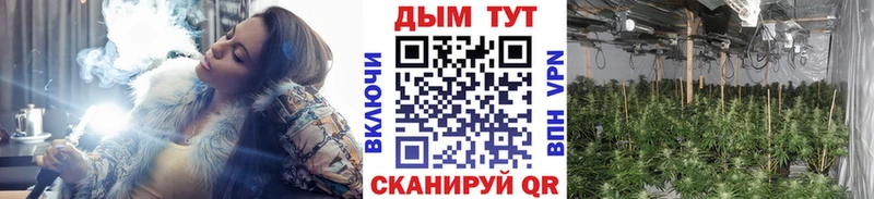 Канабис LSD WEED  KRAKEN как войти  Лосино-Петровский 